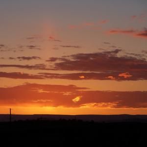 Meet your Posher, Joyce